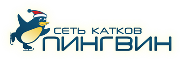 Сеть ледовых катков «ПИНГВИН» Сеть ледовых катков «ПИНГВИН»